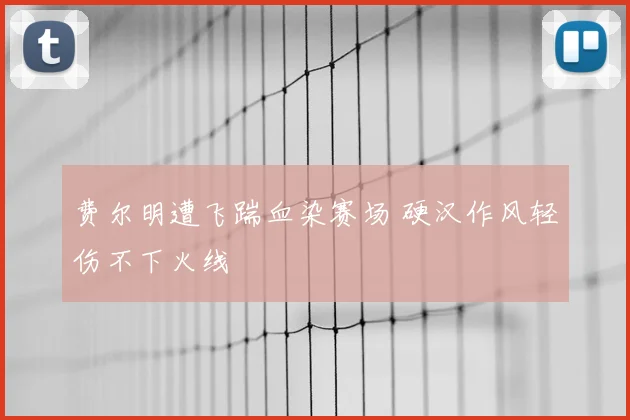 费尔明遭飞踹血染赛场 硬汉作风轻伤不下火线